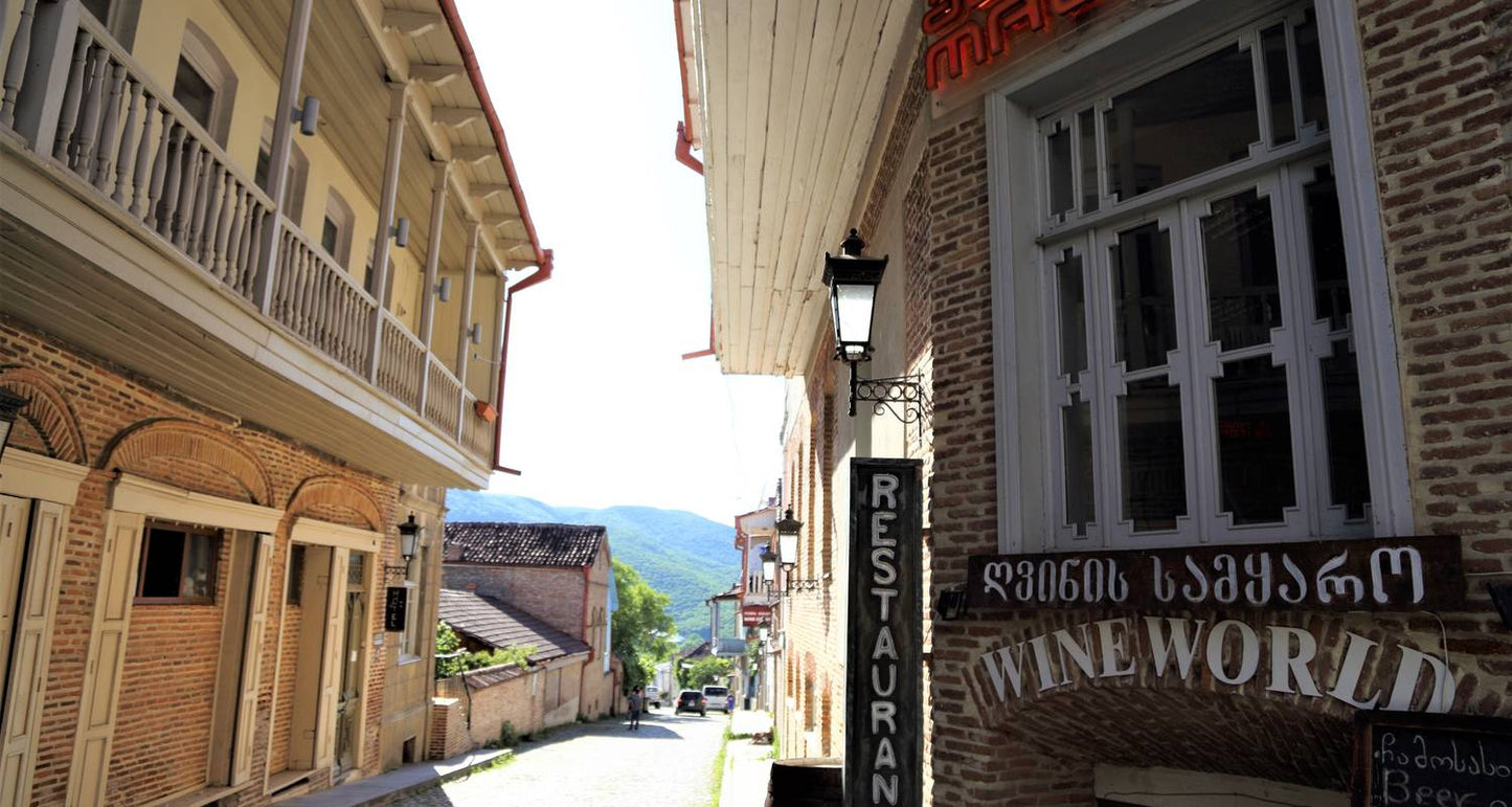Georgia Private Tour with Driver-Guide