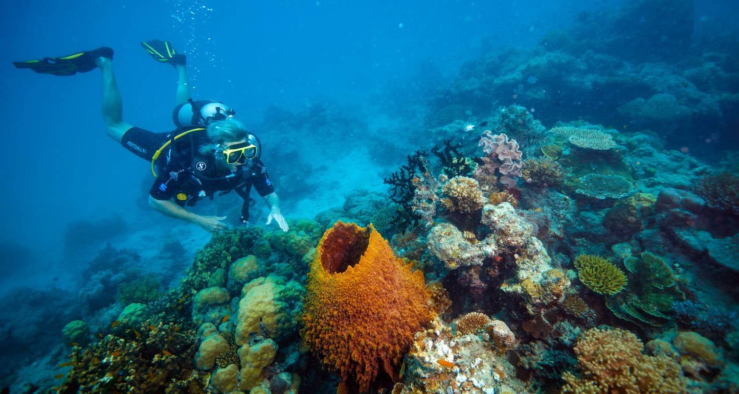 Brisbane to Cairns - 7 Day Boutique Tour