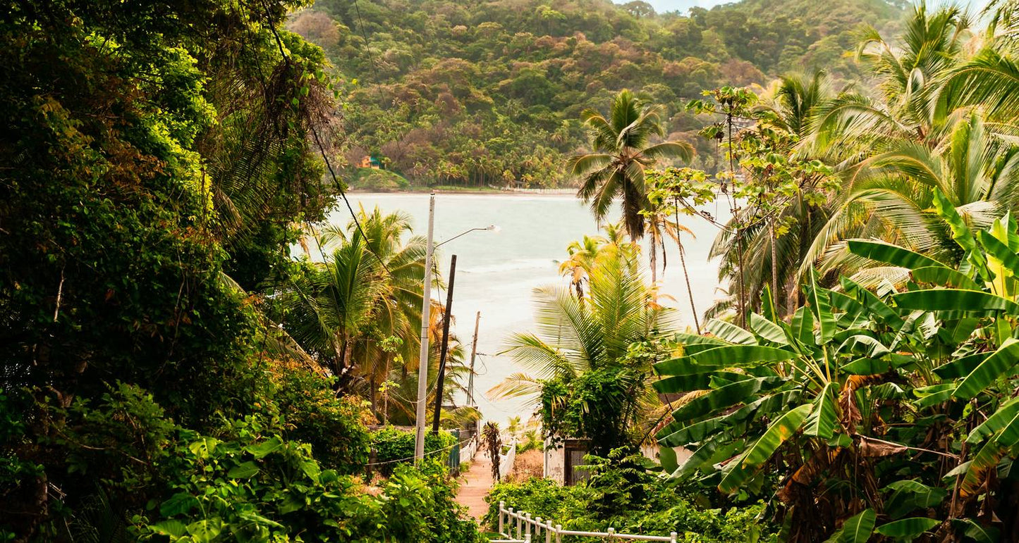 Panama City, Beaches & Mountains 8 Days Tour