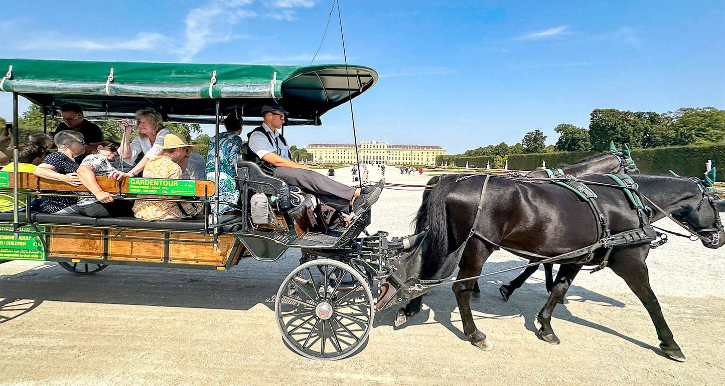 Austria's Best Family Trips