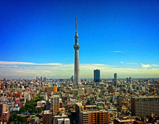 Best of Japan: Tokyo to Osaka (Private Guided)