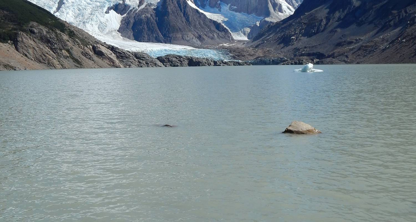 Southern Patagonia: El Calafate, El Chalten & Ushuaia