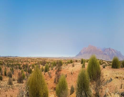 Cycle Namibia