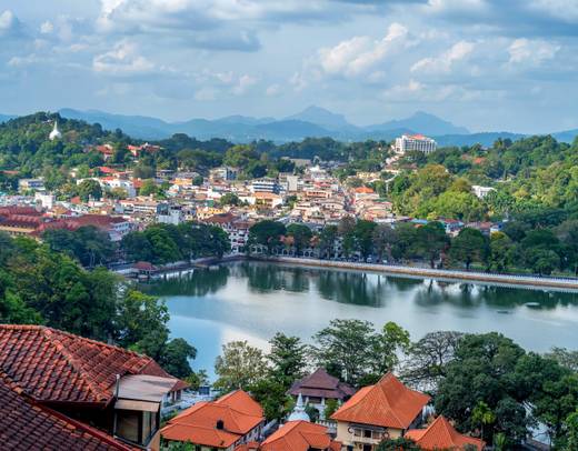 Highlights Tour of Sri Lanka