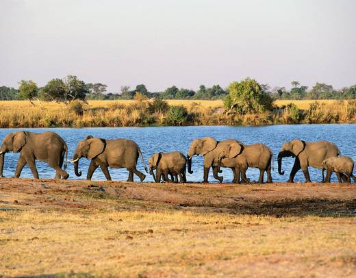 Victoria Falls to Cape Town - Camping
