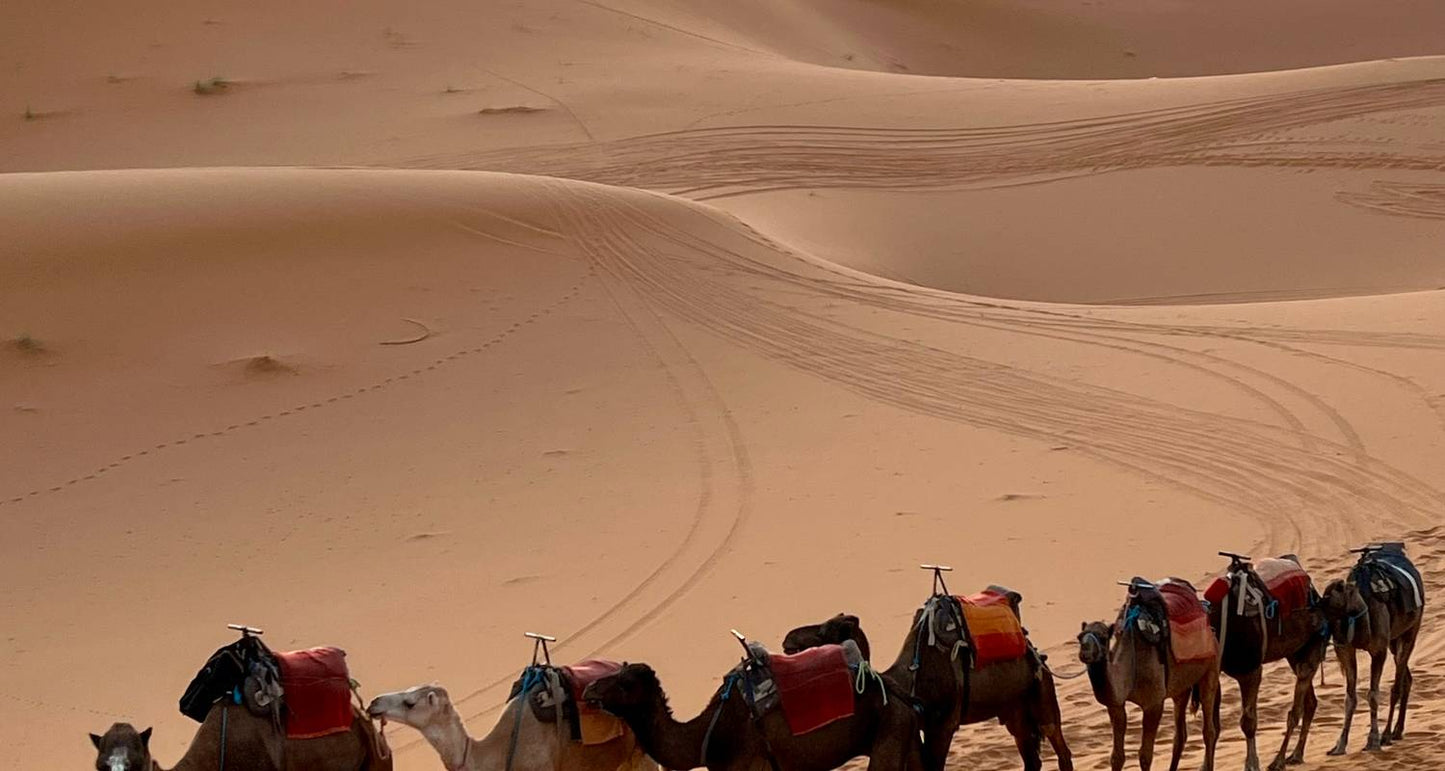 9 Days Morocco Tours From Marrakech