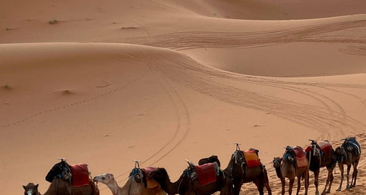 9 Days Morocco Tours From Marrakech