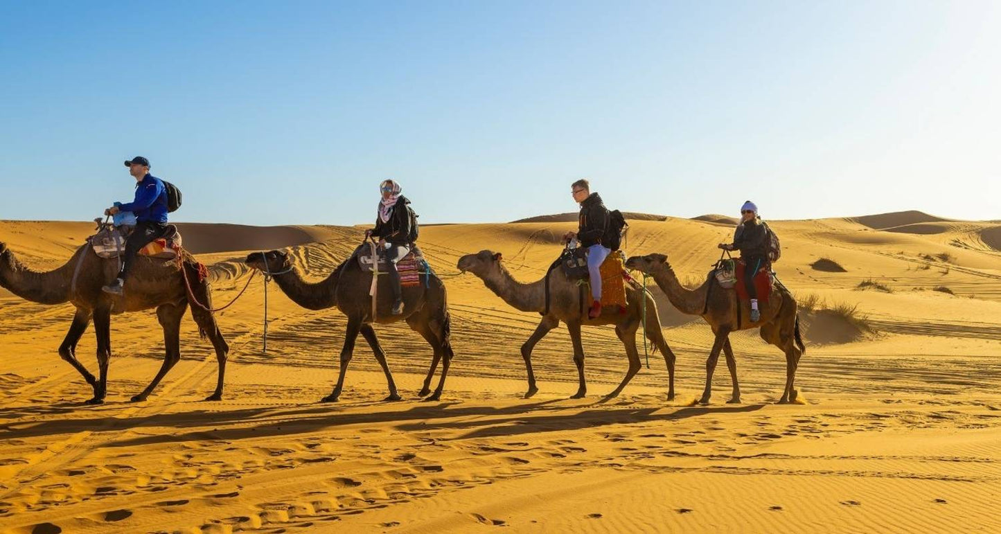 6 Day Private Tour from Casablanca to Marrakech