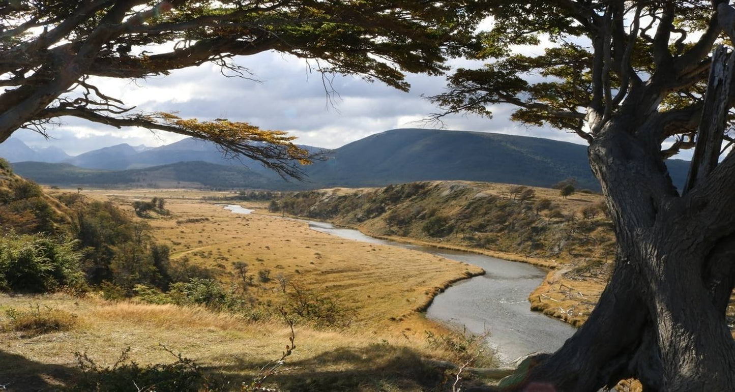 Southern Patagonia: El Calafate, El Chalten & Ushuaia