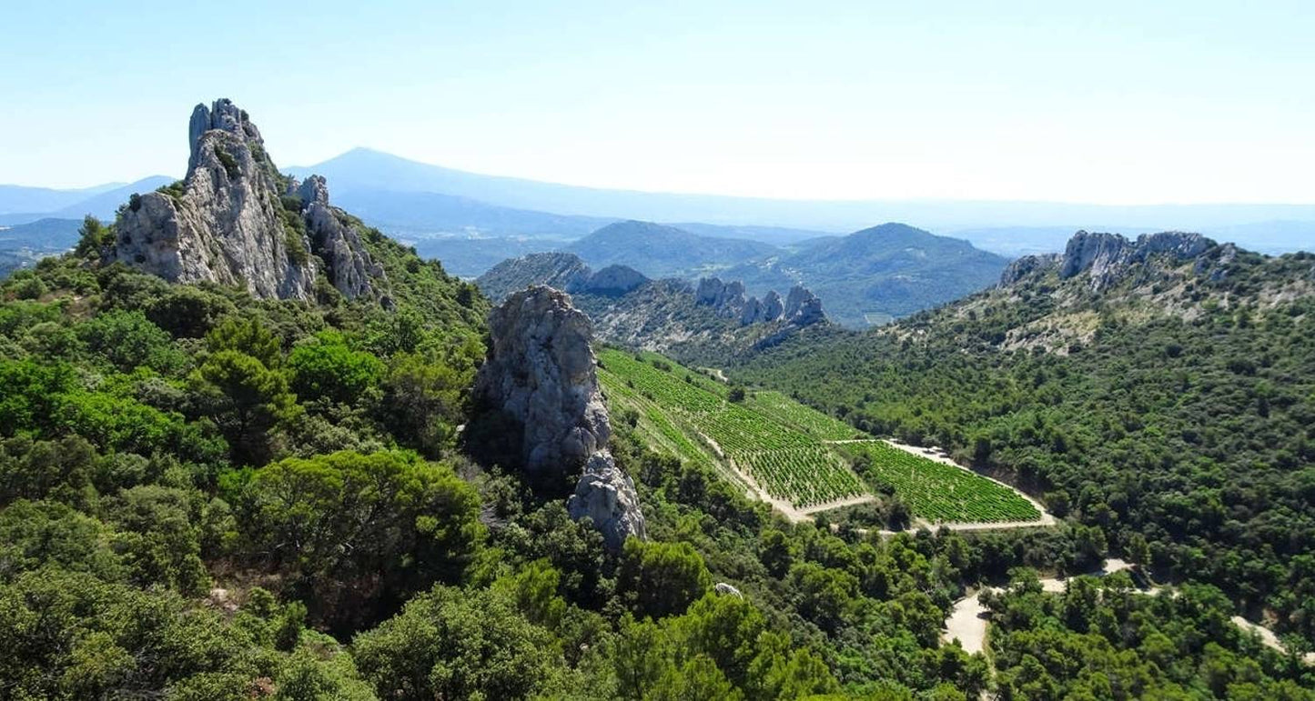 Cycle Provence