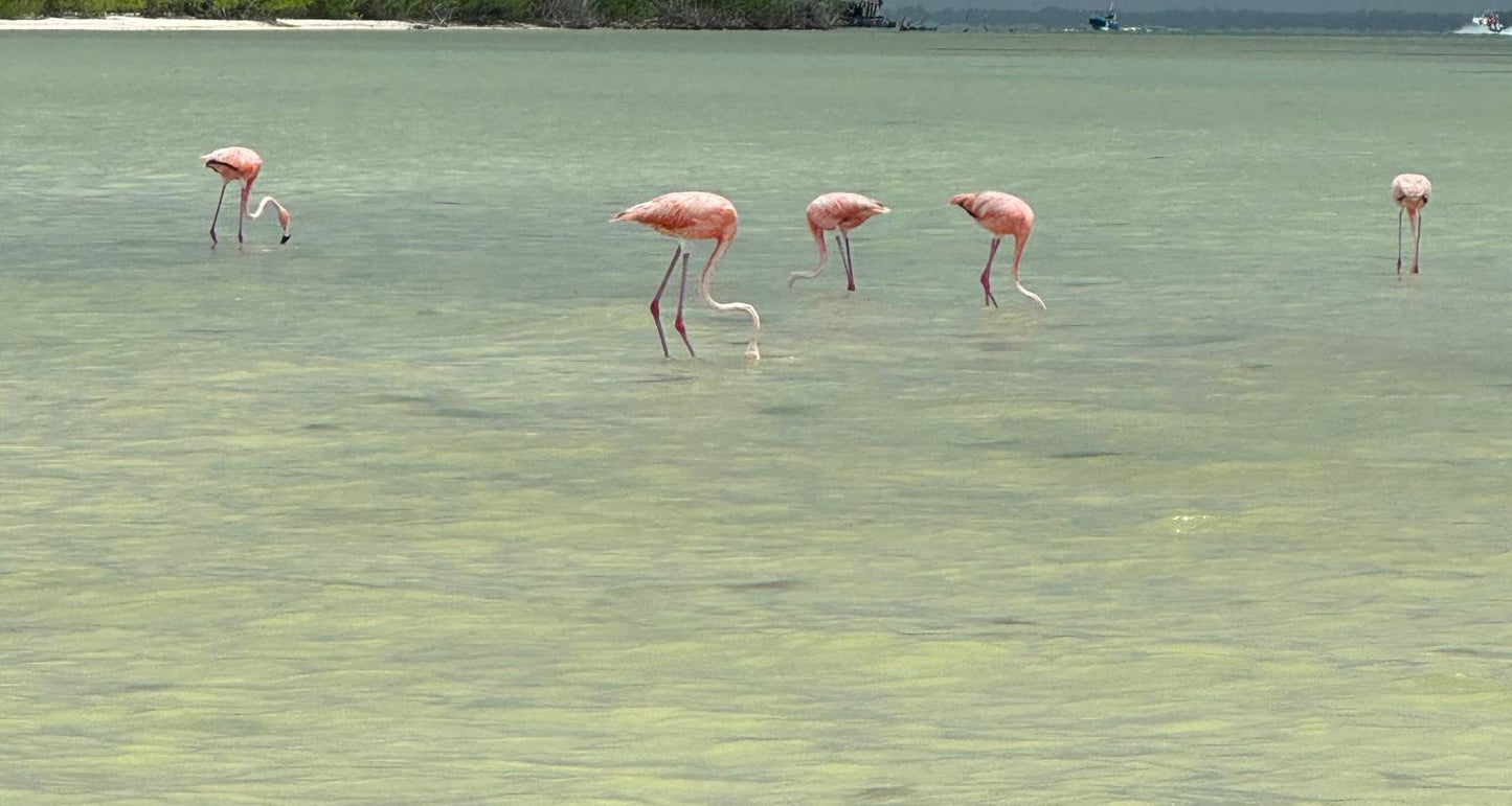 Mexico Yucatán Experience