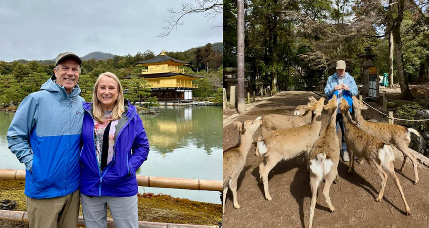 Best of Japan: Tokyo to Osaka (Private Guided)