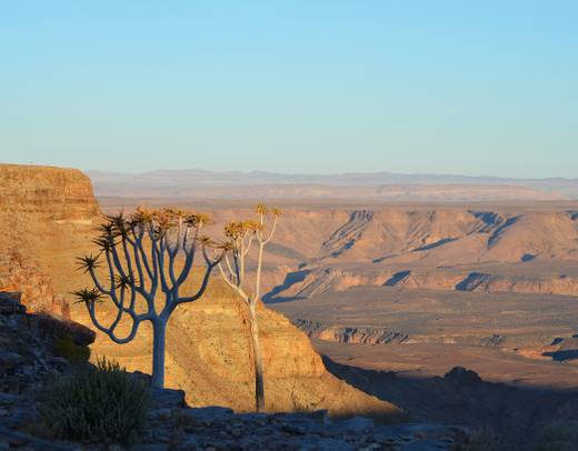 Victoria Falls to Cape Town - Camping