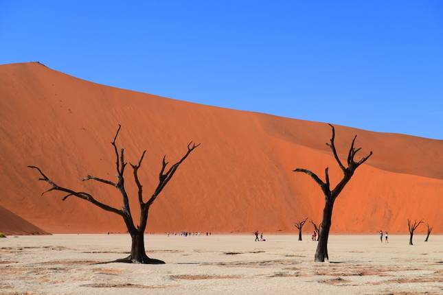 3-Day Sossusvlei Camping Adventure