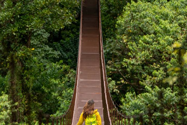 Panama Highlights: City, Highlands, and Island Escapes