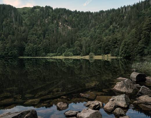 Germany's Best Travel Experience