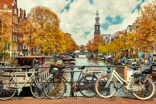Holland & Belgium in Bloom