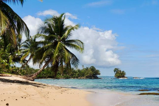 Panama City, Beaches & Mountains 8 Days Tour