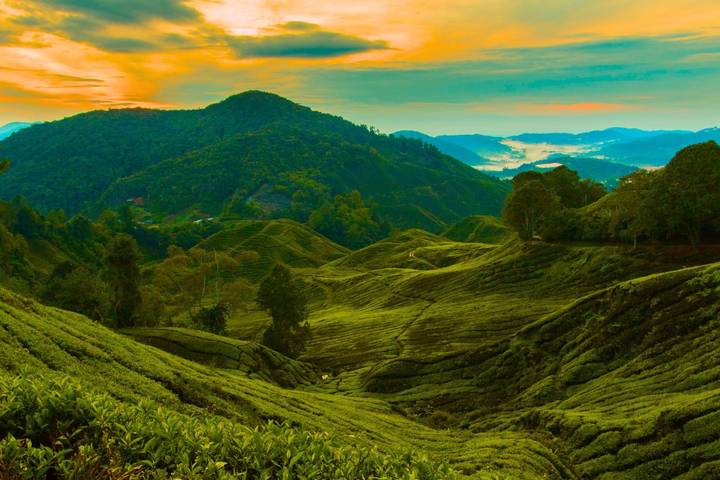 Discover Malaysia: 12 Days in Kuala Lumpur, Cameron Highlands, Penang & Langkawi）
