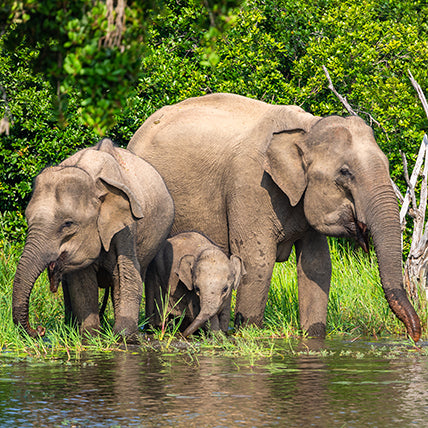 Sri Lanka: Sacred Landscapes