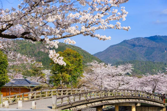 Highlights of Japan