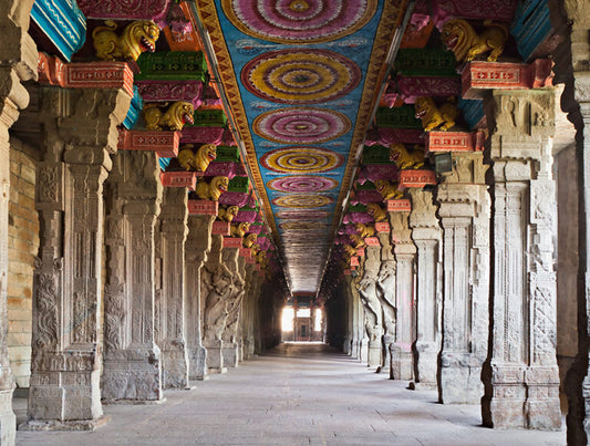 India: The Best of Tigers, History, and Culture