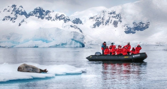 Realm of Penguins & Icebergs