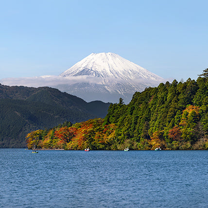 Japan: Sakura Honeymoon