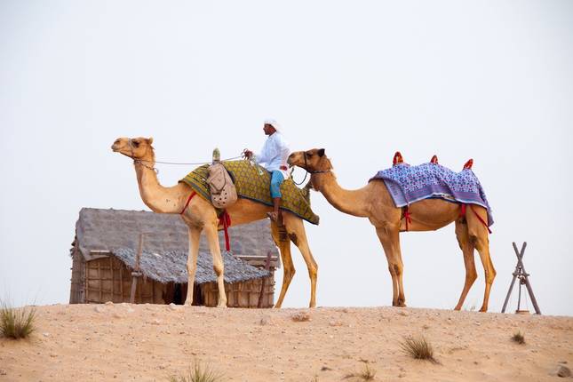 5 Day Thrilling Desert Experiences in Ras Al Khaimah