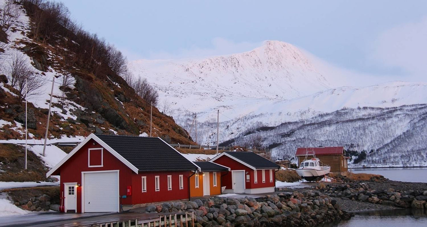 Norway Fjords and Northern Lights (From November 2025)