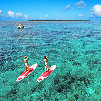 Seychelles: Conservation Honeymoon