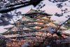 Best of Osaka, Kyoto and Hiroshima 6 Days