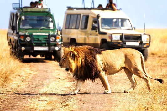 Wild Kenya: Nairobi, Maasai Mara, Amboseli & Lake Naivasha