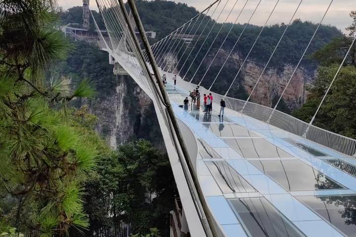 14D China Group Tour: Giant Pandas & Zhangjiajie Avatar Mountains