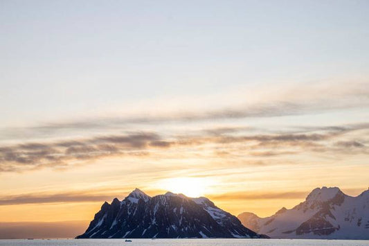 Best of Antarctica: Whale Journey (12 destinations)