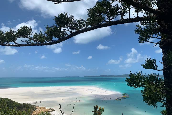 Brisbane to Cairns - 7 Day Boutique Tour