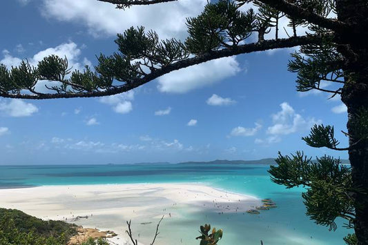Brisbane to Cairns - 7 Day Boutique Tour