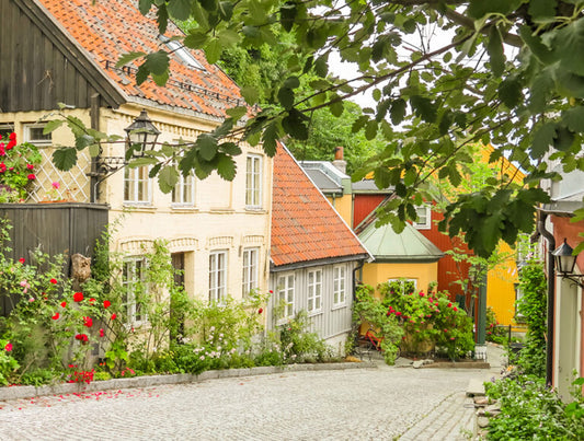 Norway: Arctic Honeymoon