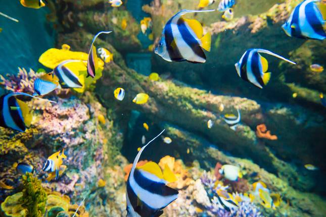 City Lights to Island Vibes: Singapore, Bali & Gili Escape