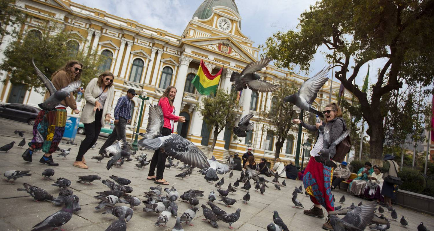 La Paz to Buenos Aires: Andes & the Atacama Desert
