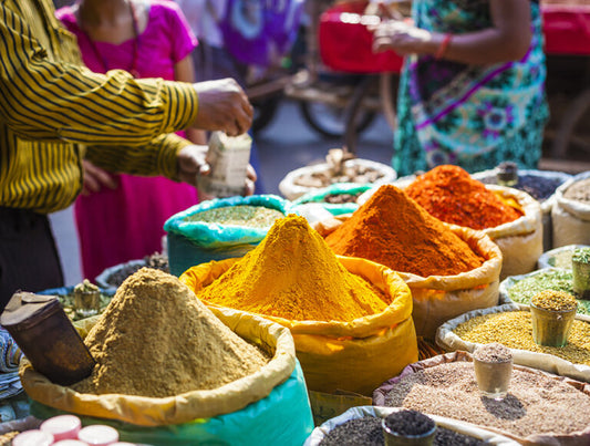 India: The Best of Tigers, History, and Culture