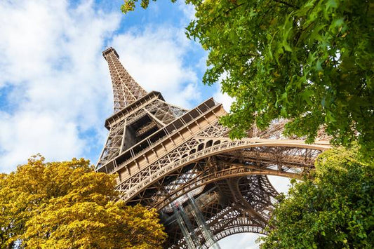 Best of France Tour