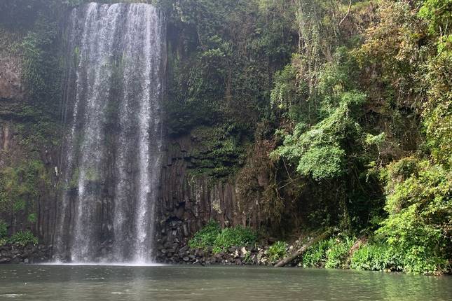 Brisbane to Cairns - 7 Day Boutique Tour