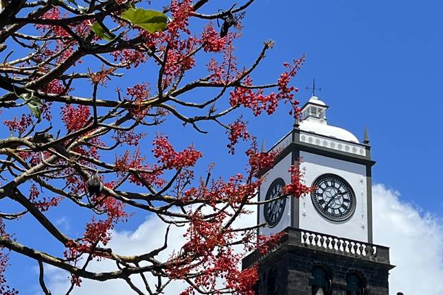 Best of the Azores: 7 days in São Miguel