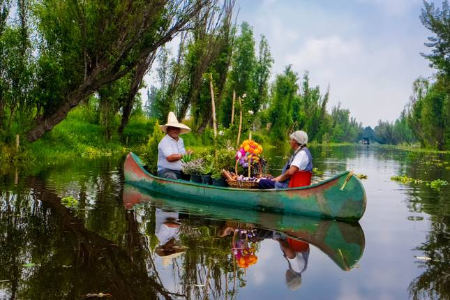 Discover Mexico