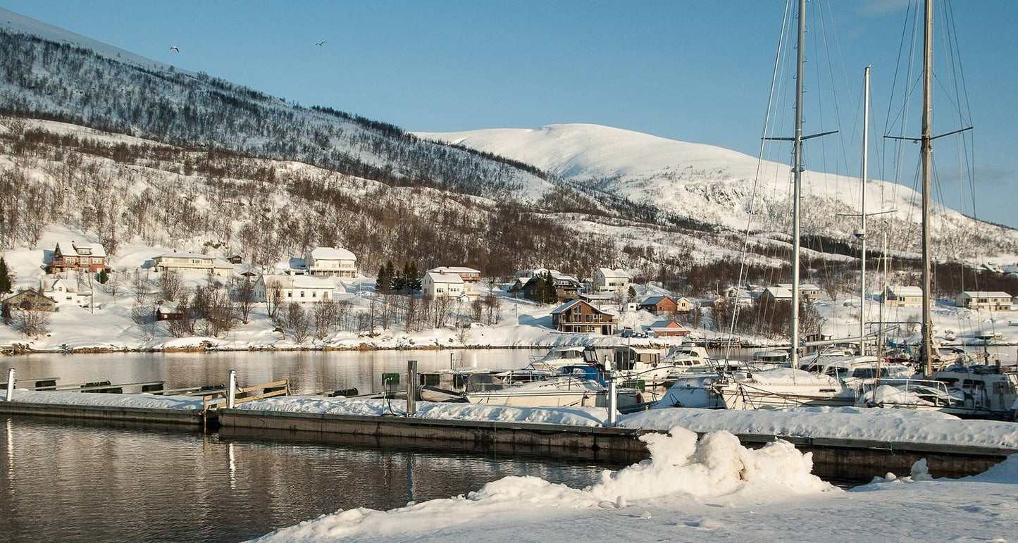 Norway Fjords and Northern Lights (From November 2025)