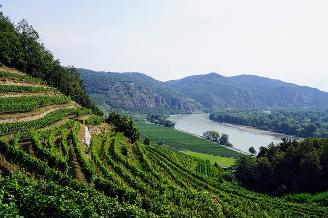 Salzburg, Vienna & Danube Valley - 8 days