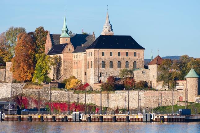 Exploring Copenhagen Oslo and Reykjavik With Enchanting Northern Lights