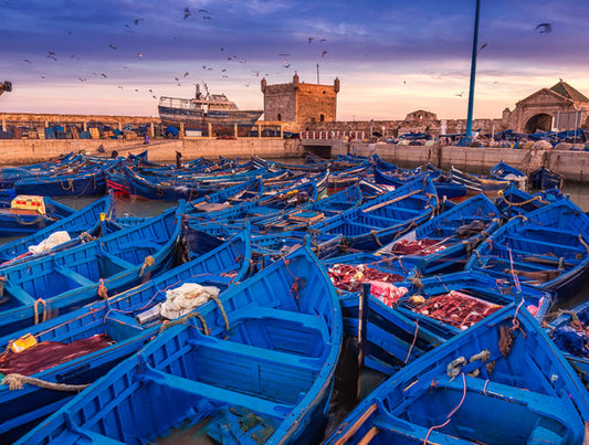 Morocco: Sea, Mountains and Marrakech