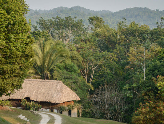 Belize: Family Eco Adventure
